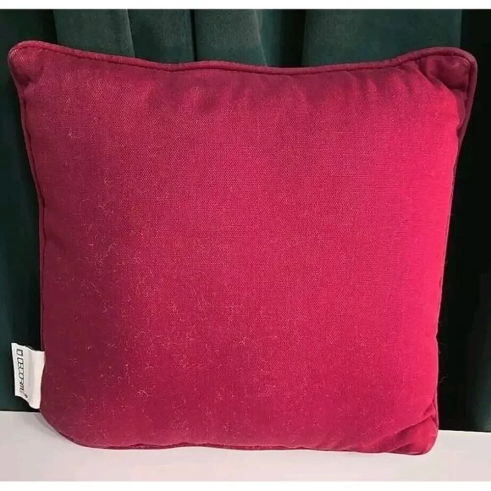 Throw Pillow 